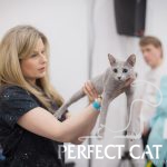 04-05 марта 2017 г. International Cat Show CATSBURG