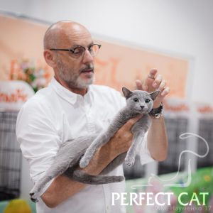 12-13 августа 2017. Выставка кошек в Москве. FIFe