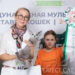 2-3 марта 2024. Москва. WCF "Spring Cat Show"